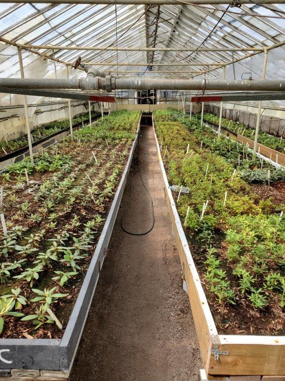 Custom propagation services